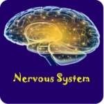 Logo of Nervous System Physiology android Application 