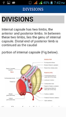 Nervous System Physiology android App screenshot 1