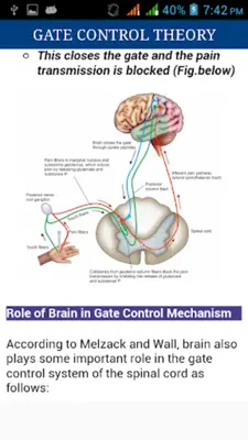 Nervous System Physiology android App screenshot 2