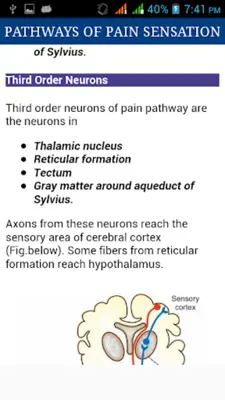 Nervous System Physiology android App screenshot 3